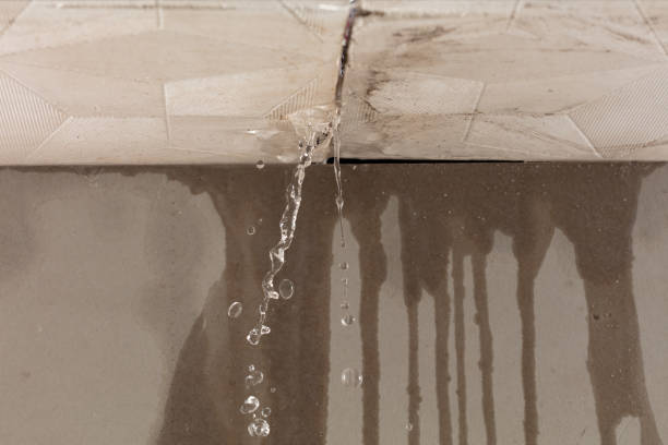 Professional Water Damage Inspection technician working in Williamston, SC